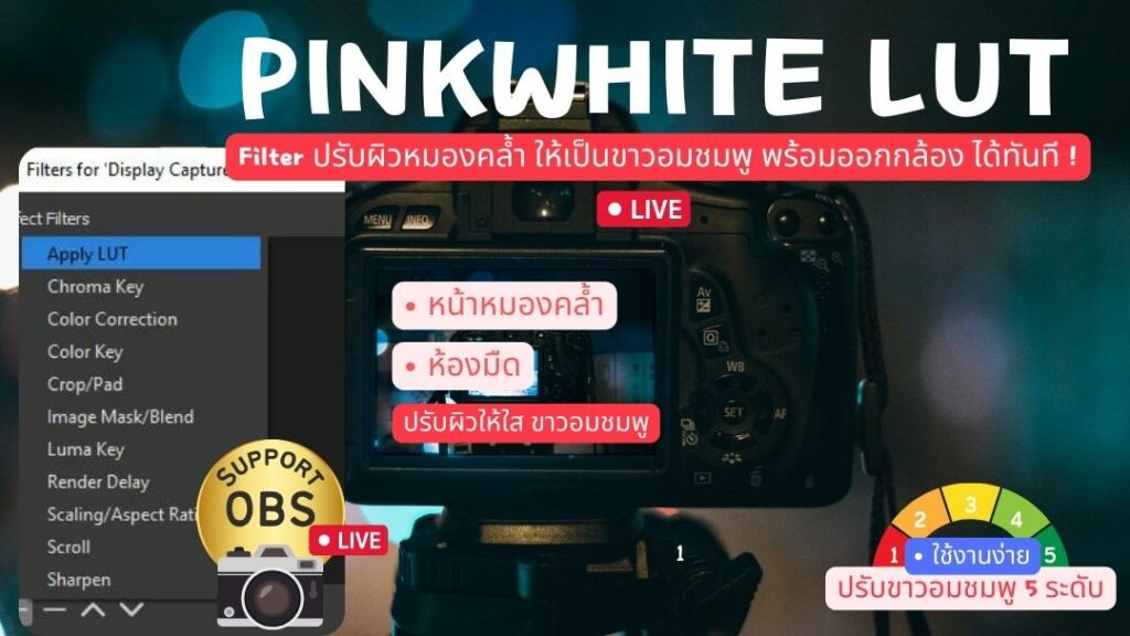 วิธีทำ LIVE ให้สวย PINKWHITE LUT